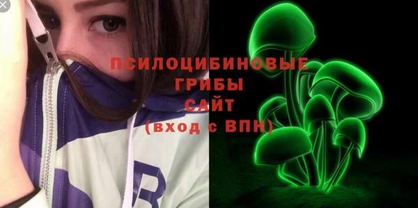 ешки Верхний Тагил